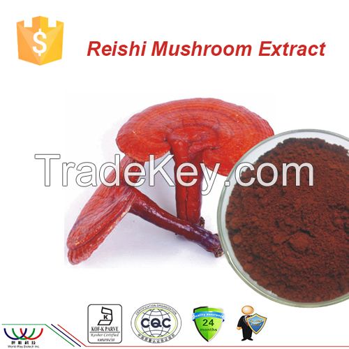 ganoderma / reishi mushroom extract