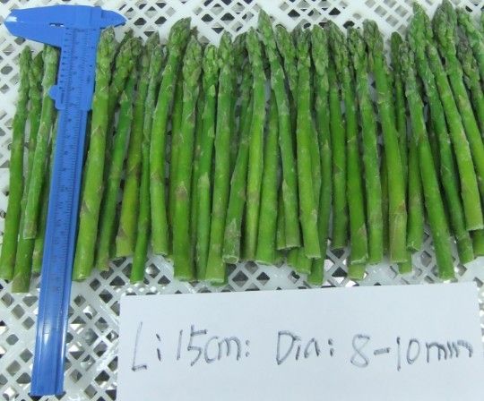 IQF Green Asparagus