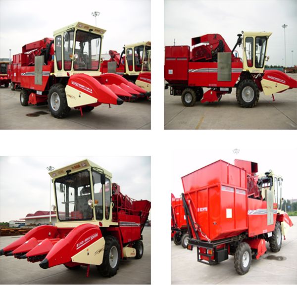 corn maize combine  harvester