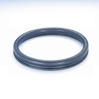 ducitle iron pipe gaskets