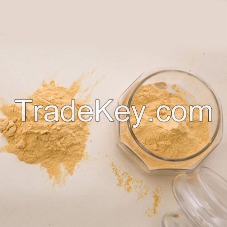 Hydrolyzed Vegetable Protein HVP