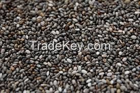 Bulk 99% Pure raw HEMP SEEDS,supply all kinds of seeds,chia seed