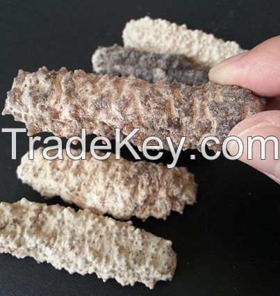 Dry Sea Cucumber