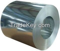 hot dipped Galvanized steel coil/prepainted steel coils