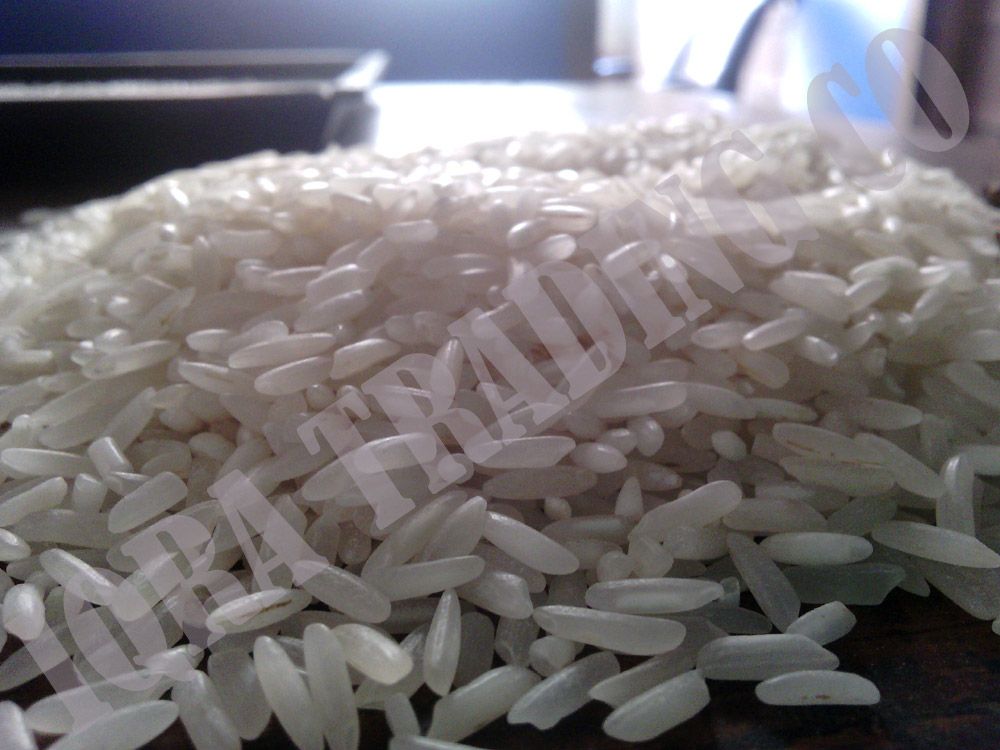 Long Grain IRRI-6 White Rice