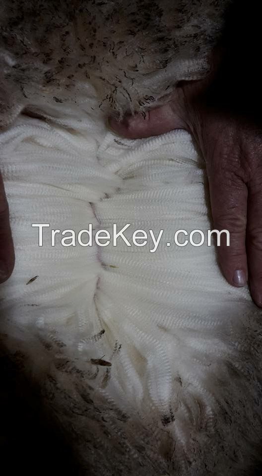 Merinos sheepskins