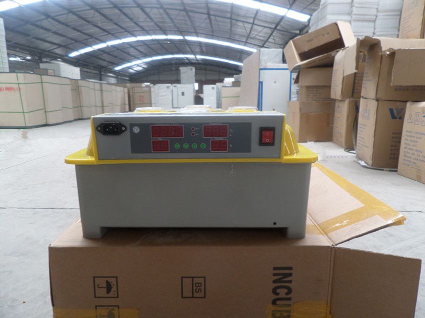 2014 new desgin tongda brand 48 eggs mini incubators made in china