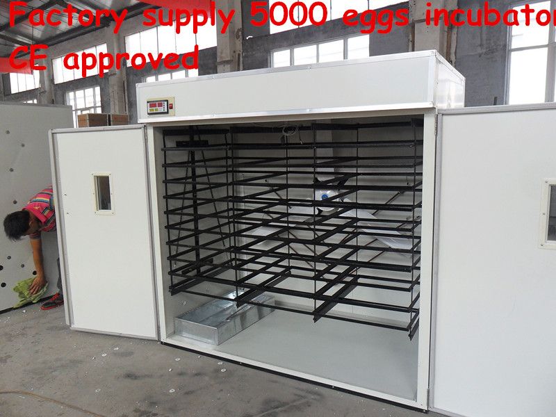 Top selling fully automatic eggs incubator in Kenya