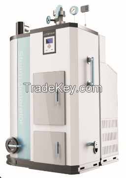 Small size biomass steam boiler