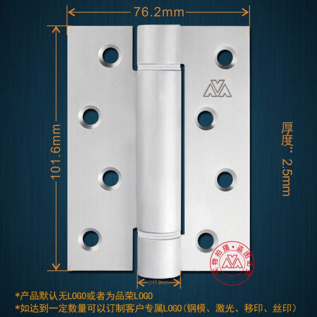 Spring Stainless Steel Hinge with 19mm Core