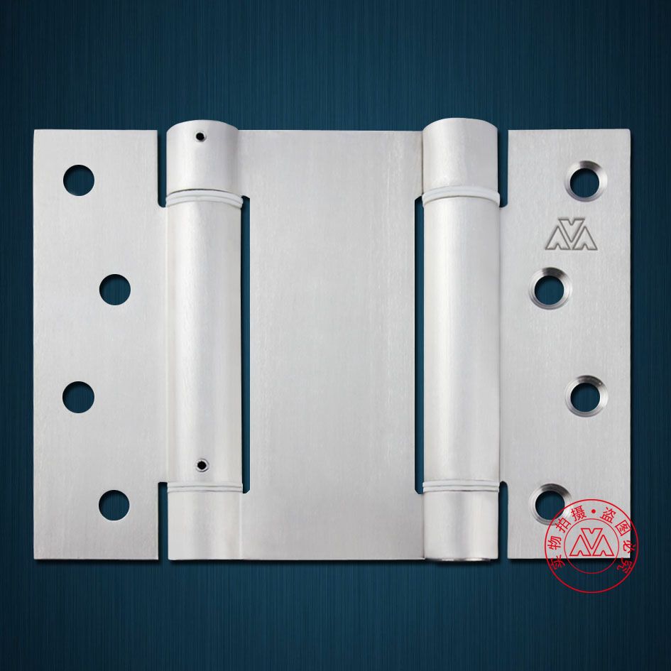 Spring Stainless Steel Hinge with 19mm Core