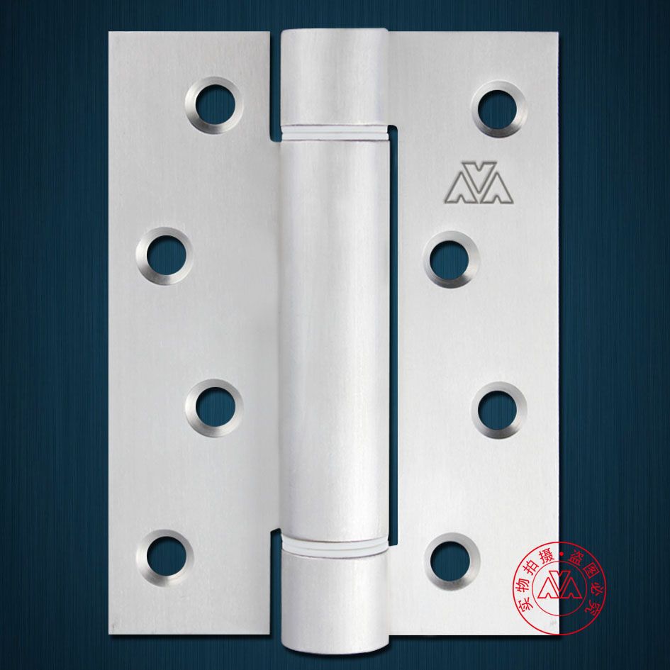 Spring Stainless Steel Hinge with 19mm Core