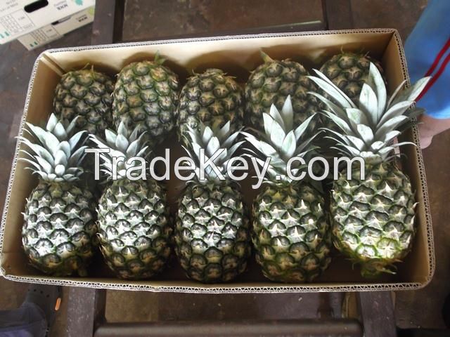 Pineapples