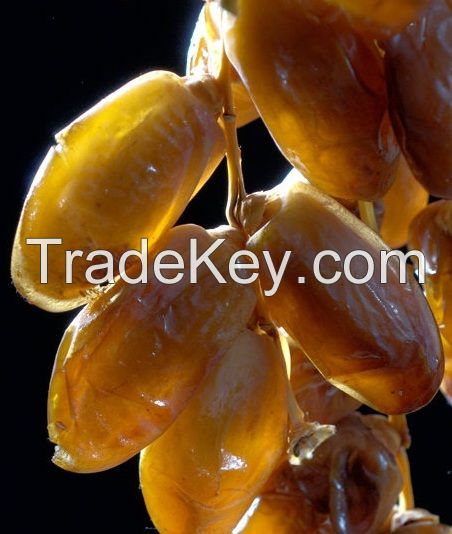 Tunisian Dates&#039;&#039;Deglet Nour&#039;&#039;