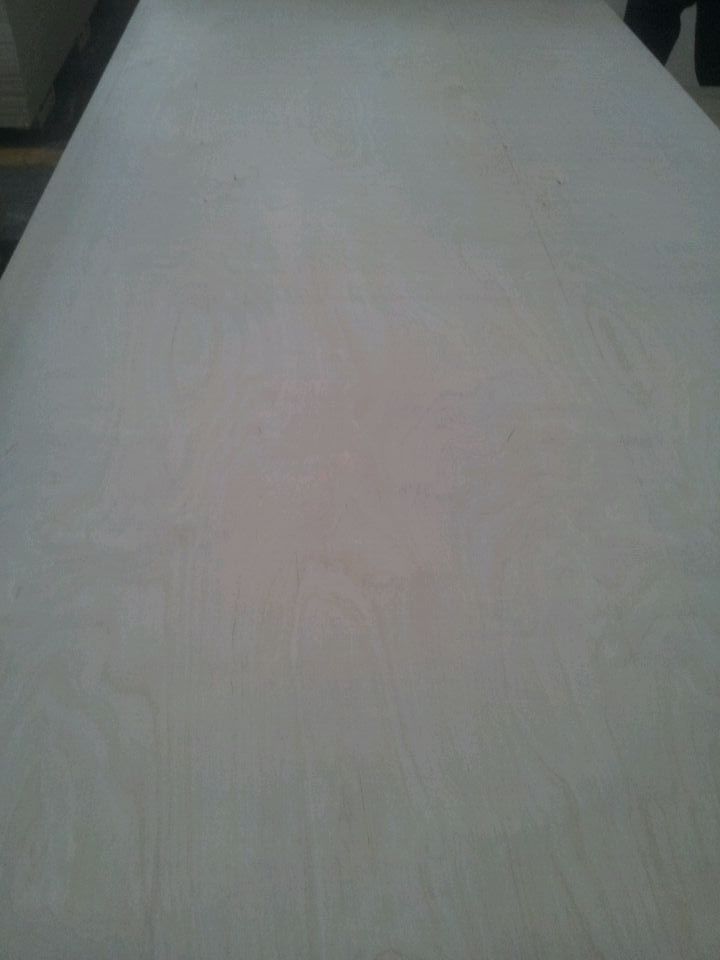 white birch plywood 