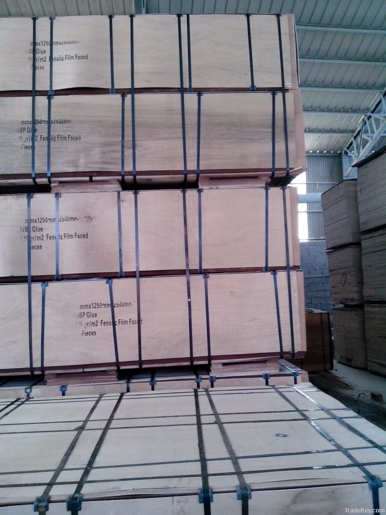  Film Faced Plywood ( Good Quality)