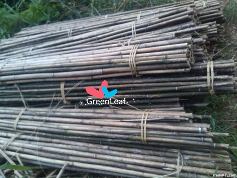 bamboo poles