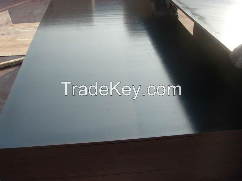 Black film faced plywood