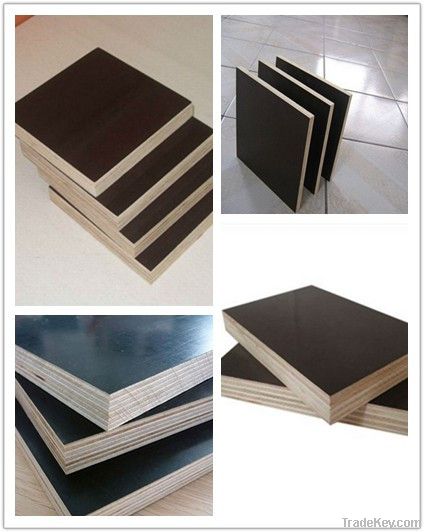 black brown film faced plywood