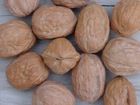 Walnuts in shell or kernel so good quality and cheap price