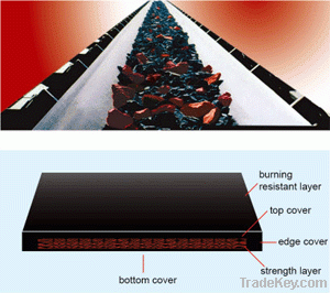 Burning  Resistant Conveyor Belt