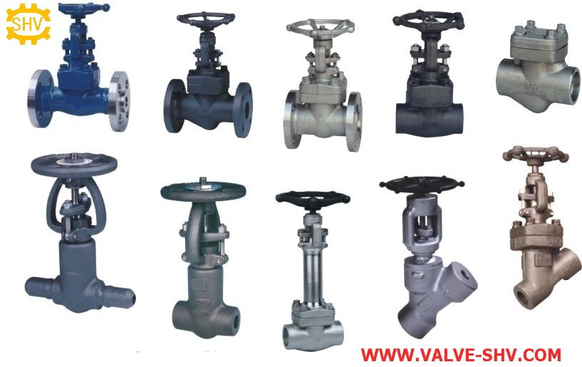 Forged steel Gate Globe Check valve