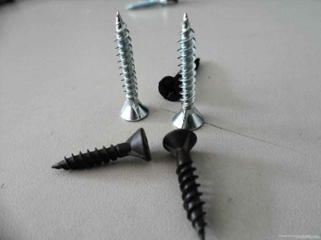 Drywall Screws