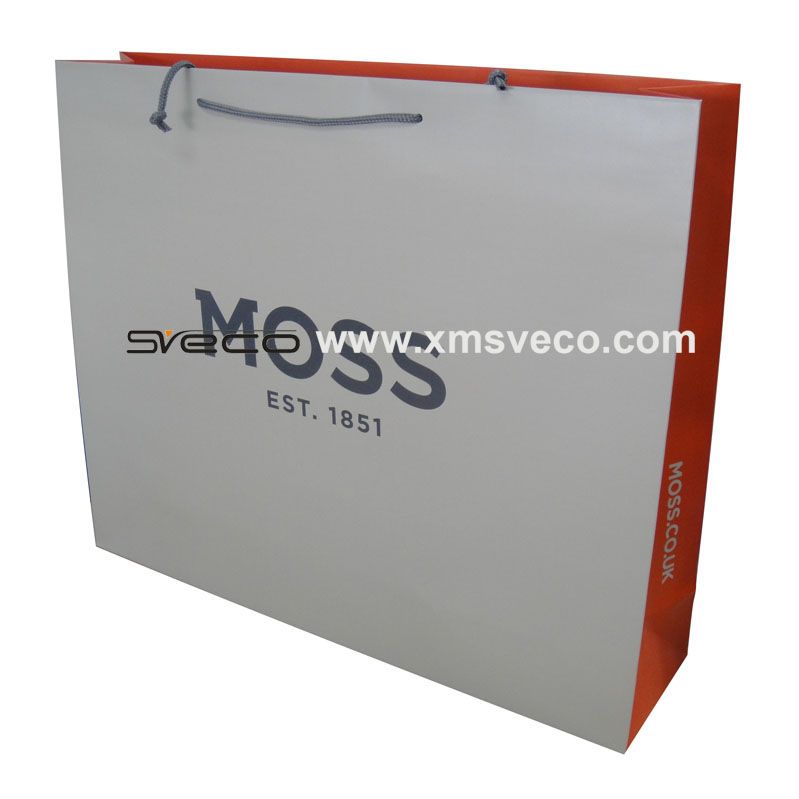 Custom printing shopping paper bag