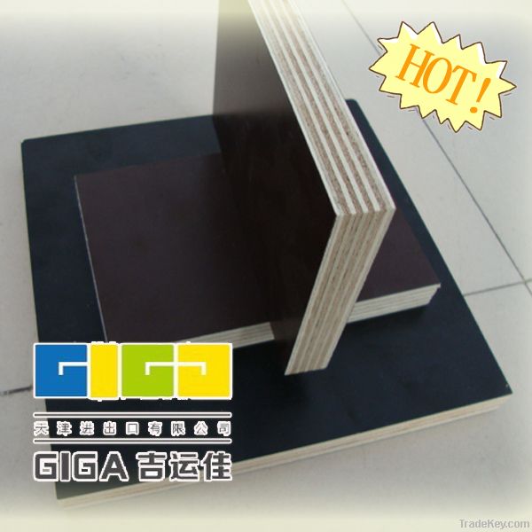 high quality film faced plywood with competive price