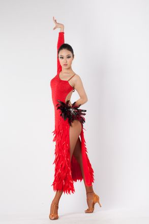 Beautiful Ballroom Dancing Dress