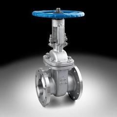  Gate valve