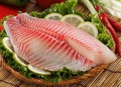 Forzen Tilapia fillets