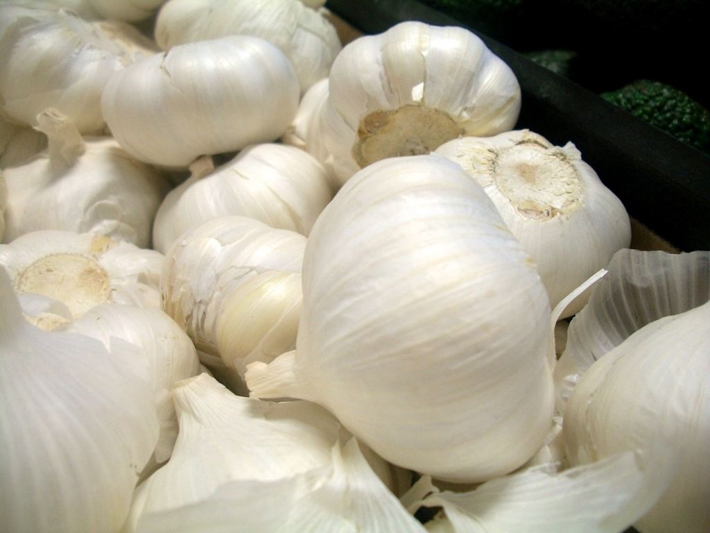 fresh  white garlic