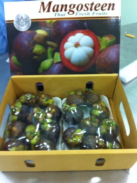 Mangosteen