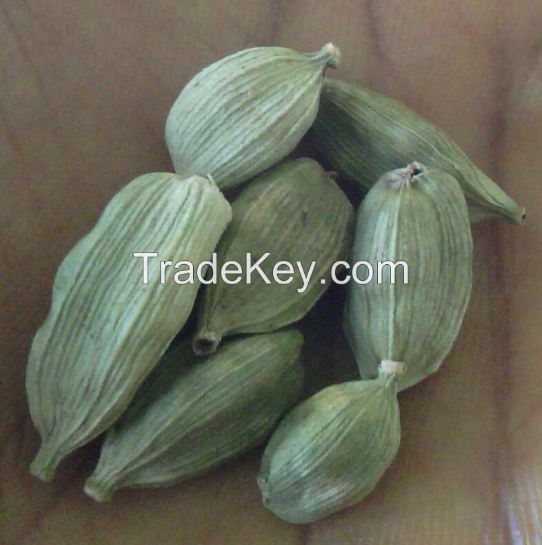 Cardamom