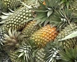 fresh Pineapple