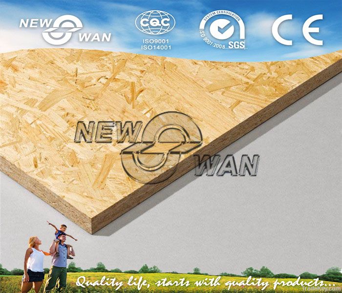 OSB plywood/ 9, 10, 11, 12, 18mm OSB