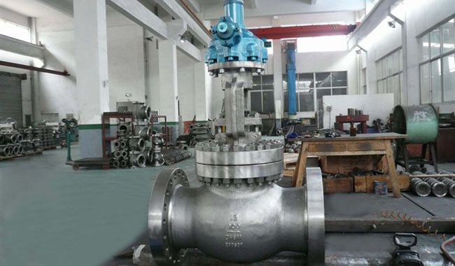 API Globe Valves