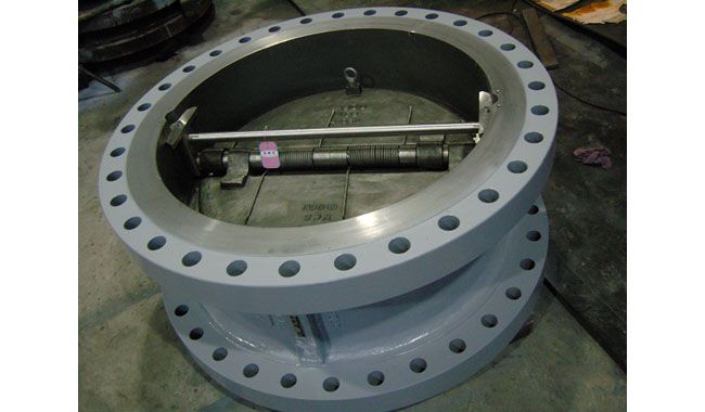 Wafer Type Check Valves