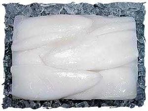 Frozen Squid