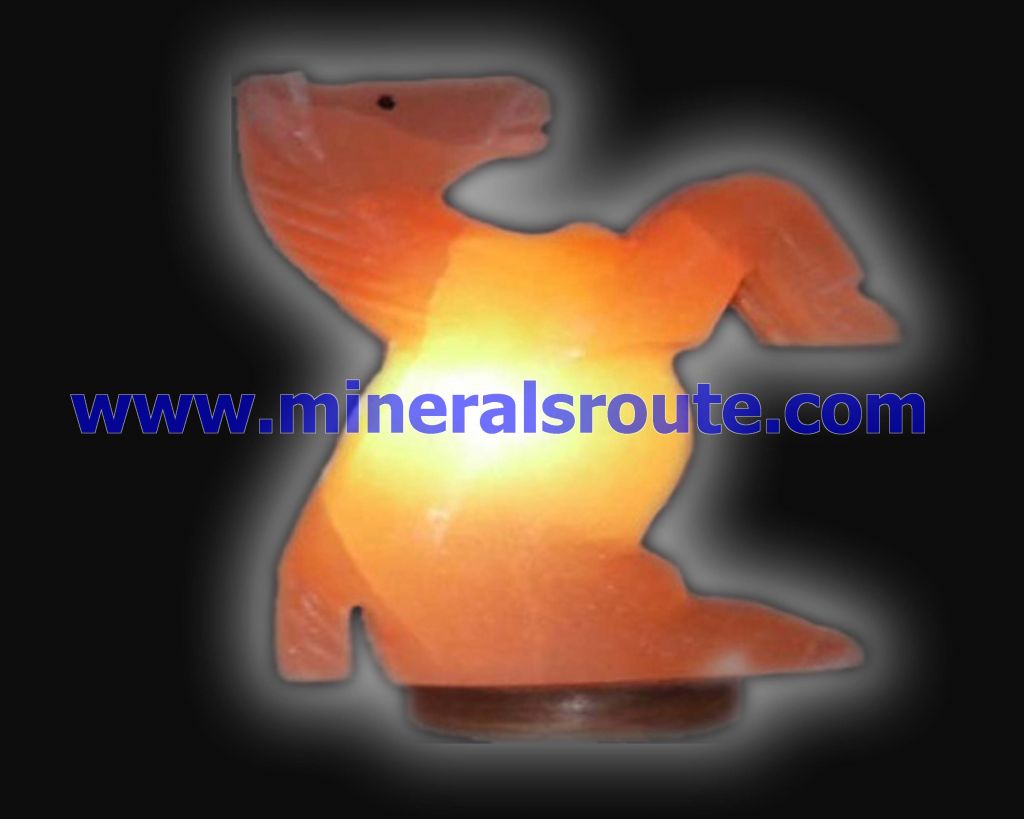 Animal Shape Salt Lamps