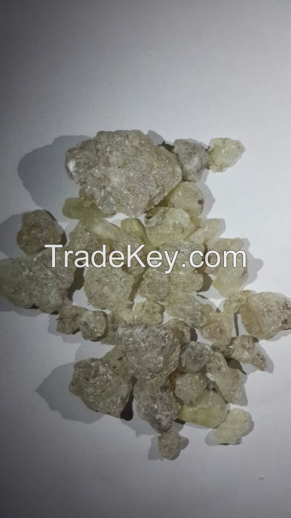 Damar Batu, Gum Damar, Gum Gopal