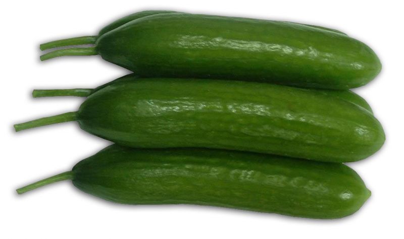 fresh cucumber, cucumber