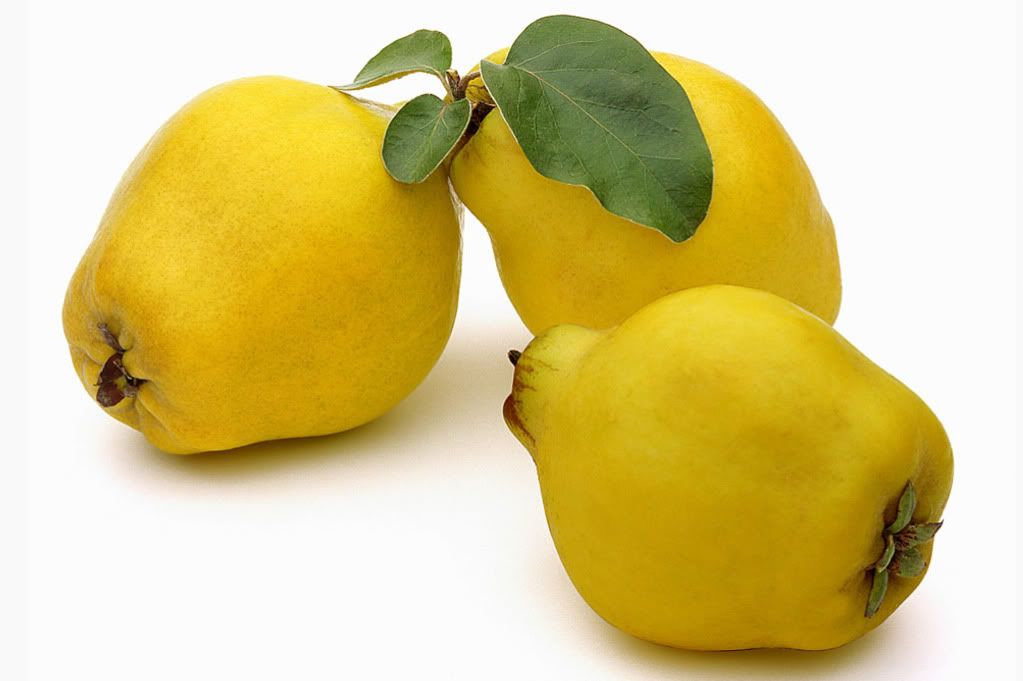 fresh quinces, quince