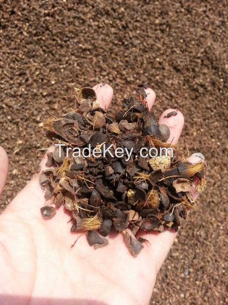 Dry Palm Kernel Shell (PKS)