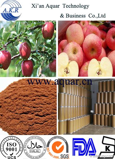 factory supply apple fruit extract