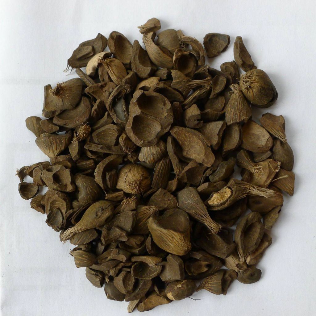 Palm Kernel Shell