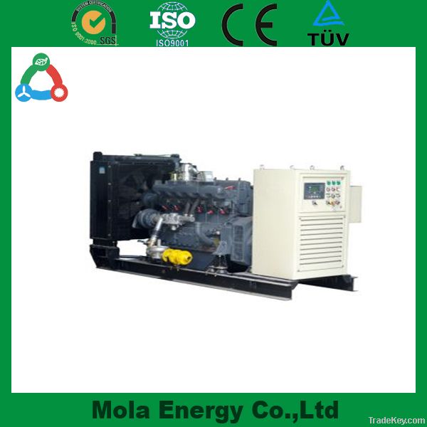 500W-200KW Biogas Generator