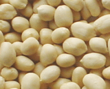 Blanched Peanut Kernels