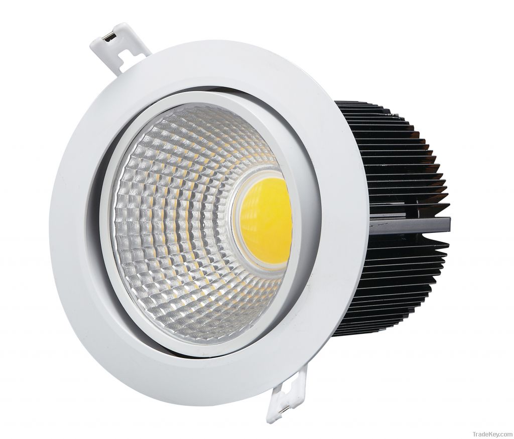 15W Cutout 120mm LED Down Light